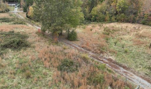 Photo #28 of 249 Union Chapel Road, Buffalo Junction, VA 47.8 acres