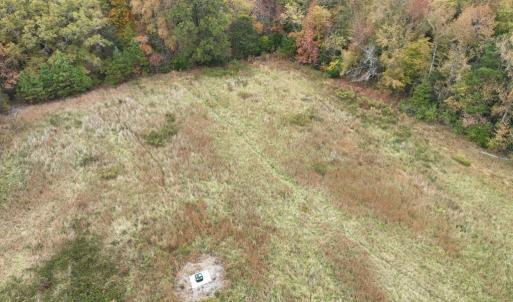 Photo #7 of 249 Union Chapel Road, Buffalo Junction, VA 47.8 acres