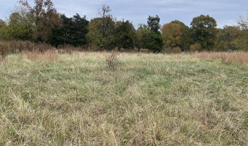 Photo #9 of 249 Union Chapel Road, Buffalo Junction, VA 47.8 acres