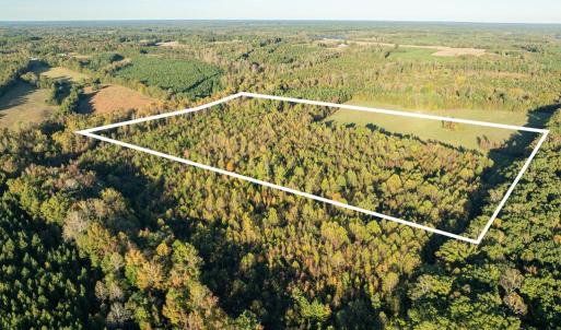 Photo #3 of Mt Carmel, Alton, VA 32.0 acres