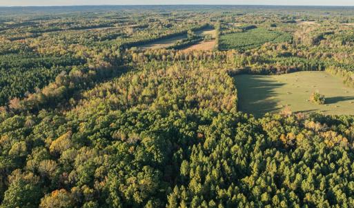 Photo #5 of Mt Carmel, Alton, VA 32.0 acres