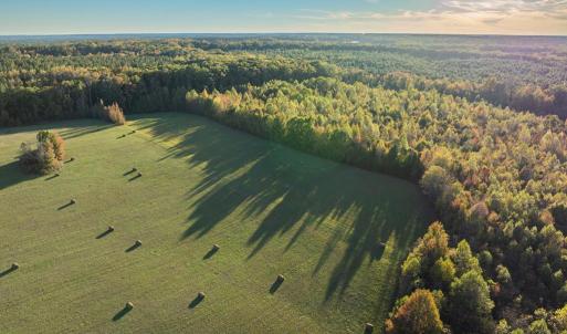 Photo #6 of Mt Carmel, Alton, VA 32.0 acres