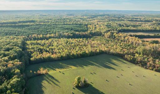 Photo #7 of Mt Carmel, Alton, VA 32.0 acres