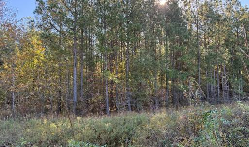 Photo #4 of 612 Richmond Road, Amelia Court House, VA 44.6 acres