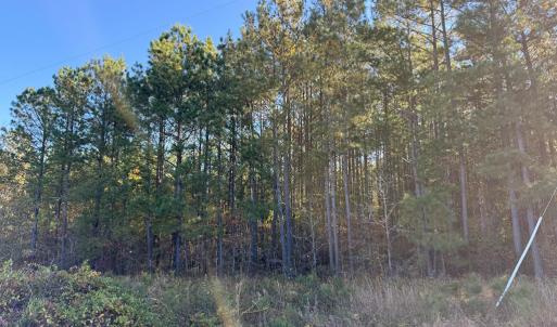 Photo #5 of 612 Richmond Road, Amelia Court House, VA 44.6 acres