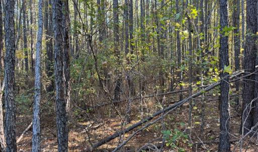 Photo #6 of 612 Richmond Road, Amelia Court House, VA 44.6 acres