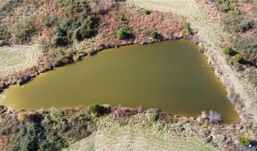 Photo #6 of Fraher Ln, Amelia, VA 8.2 acres