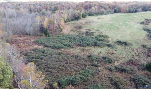 Photo #10 of Fraher Ln, Amelia, VA 19.2 acres