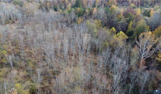 Photo #12 of Fraher Ln, Amelia, VA 19.2 acres