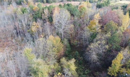 Photo #13 of Fraher Ln, Amelia, VA 19.2 acres