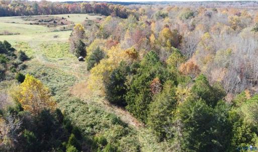 Photo #15 of Fraher Ln, Amelia, VA 19.2 acres