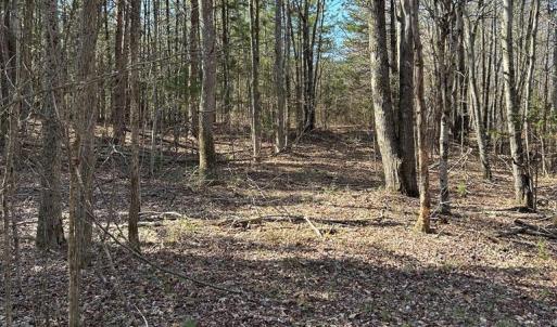 Photo #6 of Springfield Rd, Meherrin, VA 28.8 acres