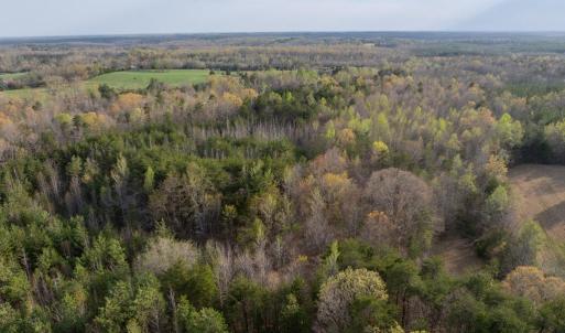 Photo #9 of Springfield Rd, Meherrin, VA 28.8 acres