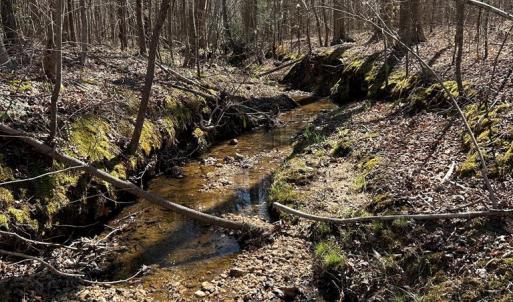 Photo #2 of Springfield Rd, Meherrin, VA 28.8 acres
