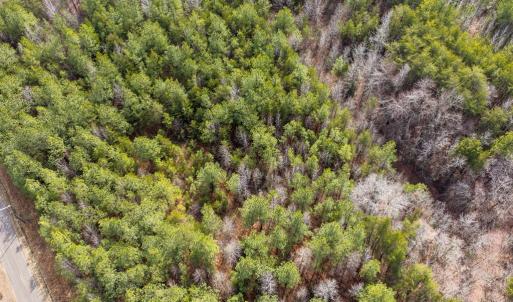 Photo #14 of Springfield Rd, Meherrin, VA 28.8 acres