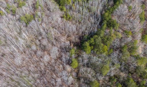 Photo #15 of Springfield Rd, Meherrin, VA 28.8 acres