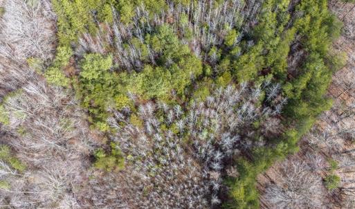 Photo #16 of Springfield Rd, Meherrin, VA 28.8 acres