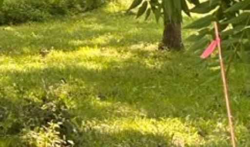Photo #2 of lot F WALTER ST, QUINBY, VA 3.9 acres