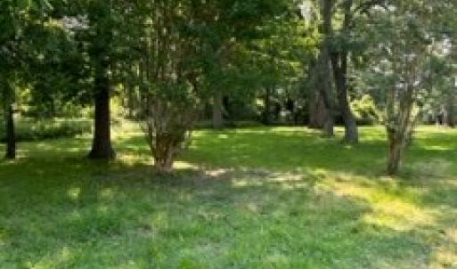 Photo #4 of lot F WALTER ST, QUINBY, VA 3.9 acres