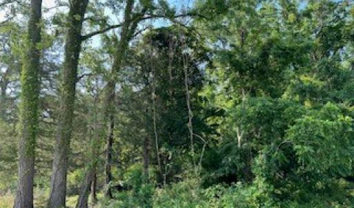 Photo #5 of lot F WALTER ST, QUINBY, VA 3.9 acres