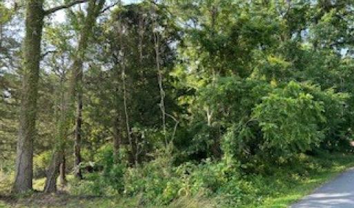 Photo #6 of lot F WALTER ST, QUINBY, VA 3.9 acres