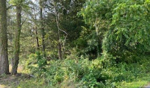Photo #7 of lot F WALTER ST, QUINBY, VA 3.9 acres