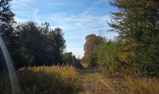 Photo #2 of Wildway Rd, Appomattox, VA 37.5 acres