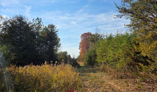 Photo #3 of Wildway Rd, Appomattox, VA 37.5 acres