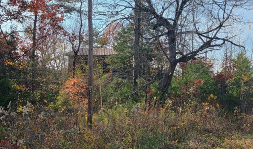 Photo #4 of Wildway Rd, Appomattox, VA 37.5 acres