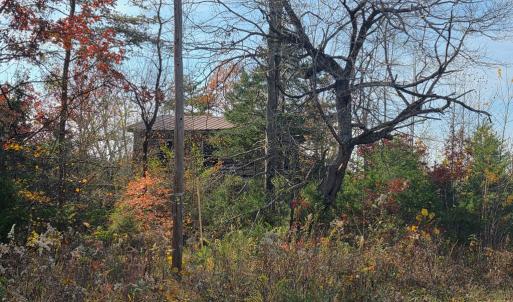 Photo #5 of Wildway Rd, Appomattox, VA 37.5 acres