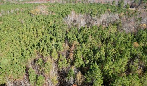 Photo #10 of Grubby Rd, Wilsons, VA 39.5 acres