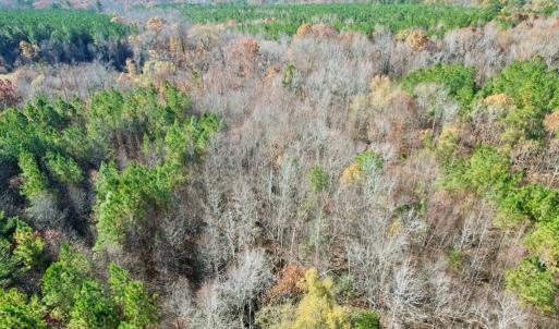 Photo #11 of Grubby Rd, Wilsons, VA 39.5 acres