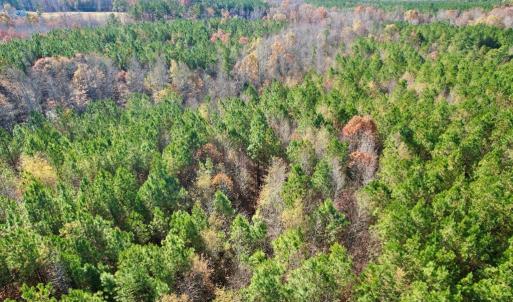 Photo #12 of Grubby Rd, Wilsons, VA 39.5 acres