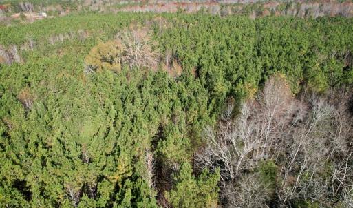 Photo #13 of Grubby Rd, Wilsons, VA 39.5 acres