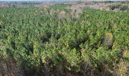 Photo #14 of Grubby Rd, Wilsons, VA 39.5 acres