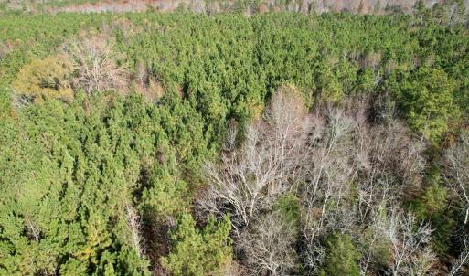 Photo #15 of Grubby Rd, Wilsons, VA 39.5 acres