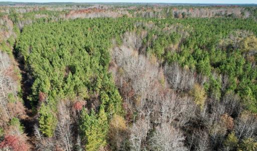 Photo #17 of Grubby Rd, Wilsons, VA 39.5 acres