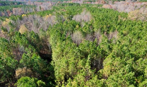 Photo #18 of Grubby Rd, Wilsons, VA 39.5 acres