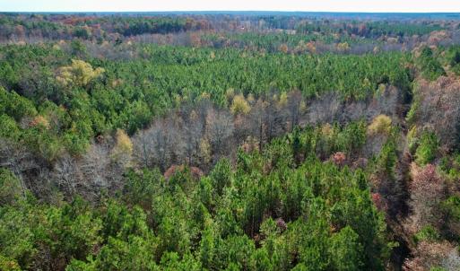 Photo #19 of Grubby Rd, Wilsons, VA 39.5 acres