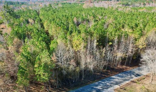 Photo #20 of Grubby Rd, Wilsons, VA 39.5 acres