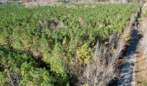 Photo #21 of Grubby Rd, Wilsons, VA 39.5 acres