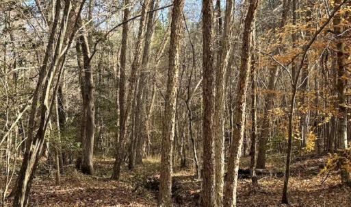 Photo #22 of Grubby Rd, Wilsons, VA 39.5 acres