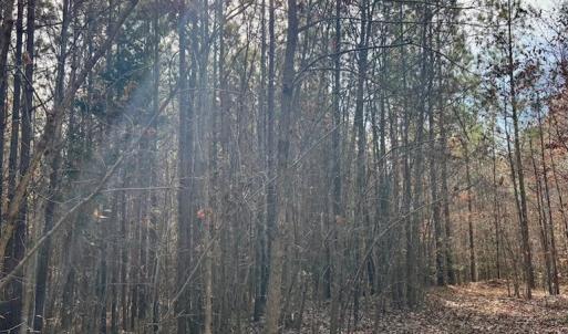 Photo #23 of Grubby Rd, Wilsons, VA 39.5 acres