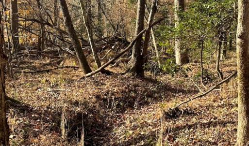 Photo #24 of Grubby Rd, Wilsons, VA 39.5 acres