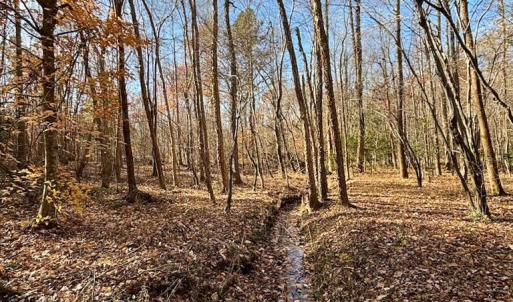 Photo #25 of Grubby Rd, Wilsons, VA 39.5 acres