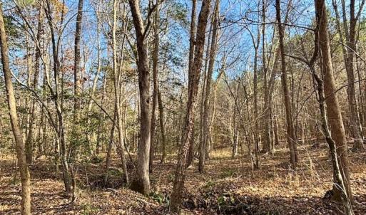 Photo #26 of Grubby Rd, Wilsons, VA 39.5 acres