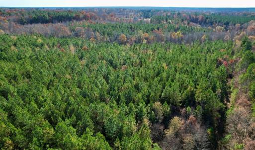 Photo #3 of Grubby Rd, Wilsons, VA 39.5 acres