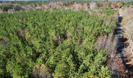 Photo #4 of Grubby Rd, Wilsons, VA 39.5 acres