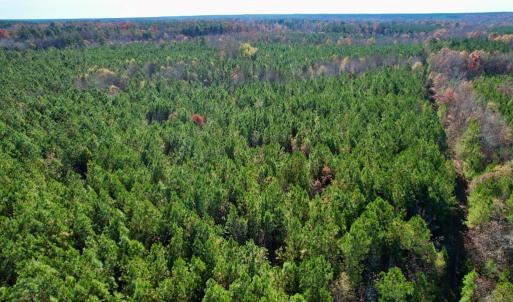 Photo #5 of Grubby Rd, Wilsons, VA 39.5 acres