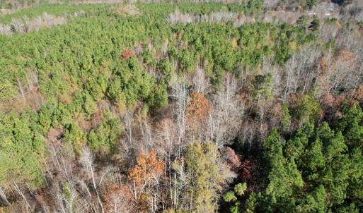 Photo #8 of Grubby Rd, Wilsons, VA 39.5 acres